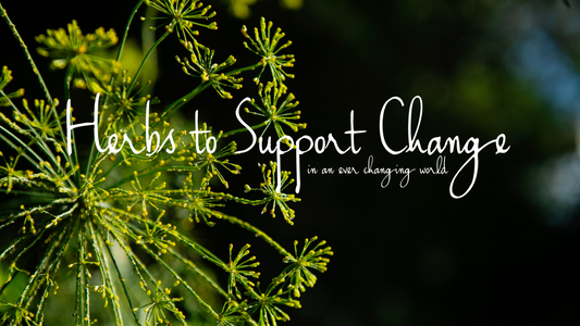 Herbs to Support Change, in an Ever-Changing World