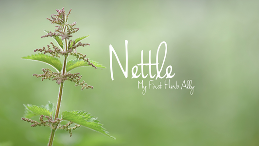 Stinging Nettle; My First Herb Ally